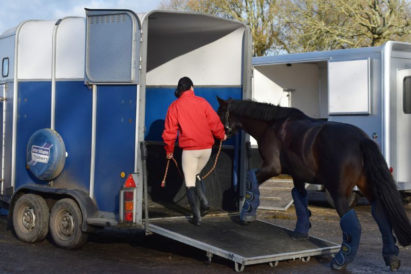 Choosing and driving a horse trailer